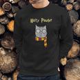 Hairy Pawter Funny Cute Magic Cat With Glasses Gift Sweatshirt Gifts for Him