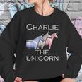 Charlie The Unicorns Shun Sweatshirt Gifts for Her