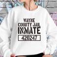 Wayne County Jail Inmate Prison Halloween Costume Sweatshirt Gifts for Her